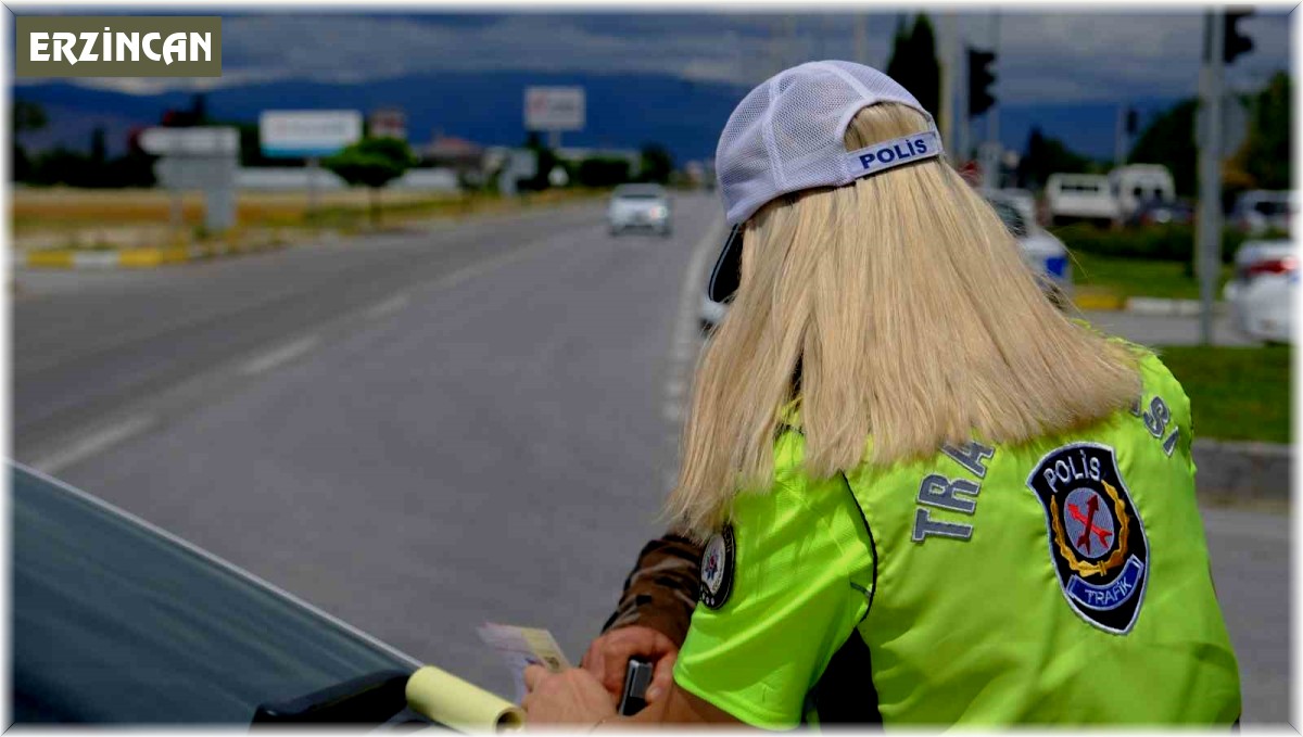 Erzincan'da havadan ceza yağdı