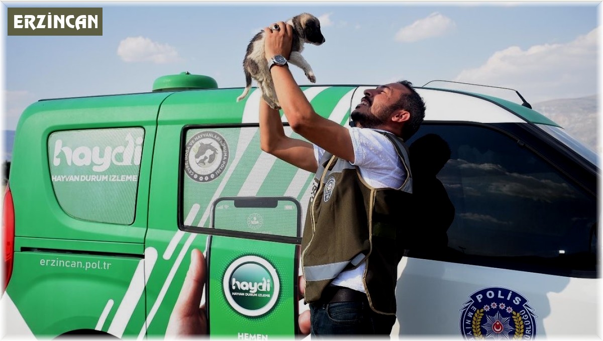 Erzincan'da HAYDİ ekipleri can dostları unutmuyor
