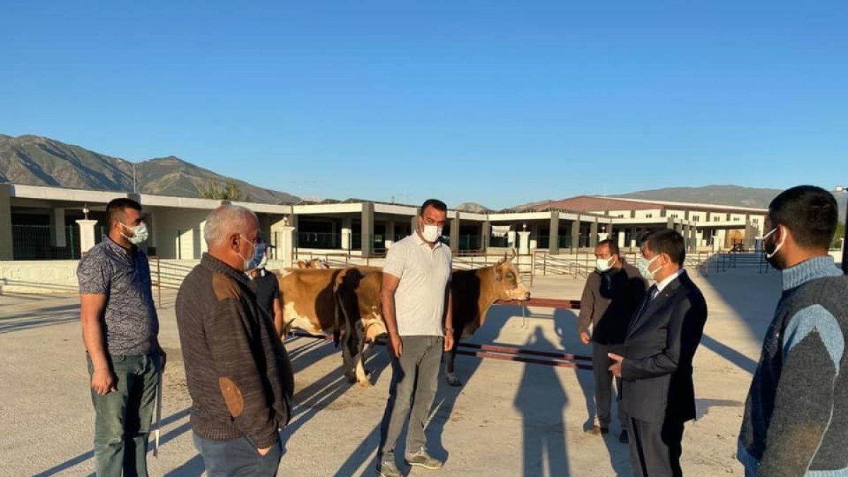 Erzincan'da hayvan pazarı, tekrardan açıldı