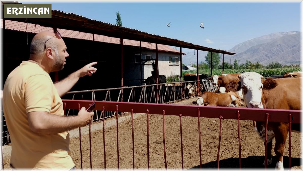 Erzincan'da hayvancılık işletmelerine sağlık taraması