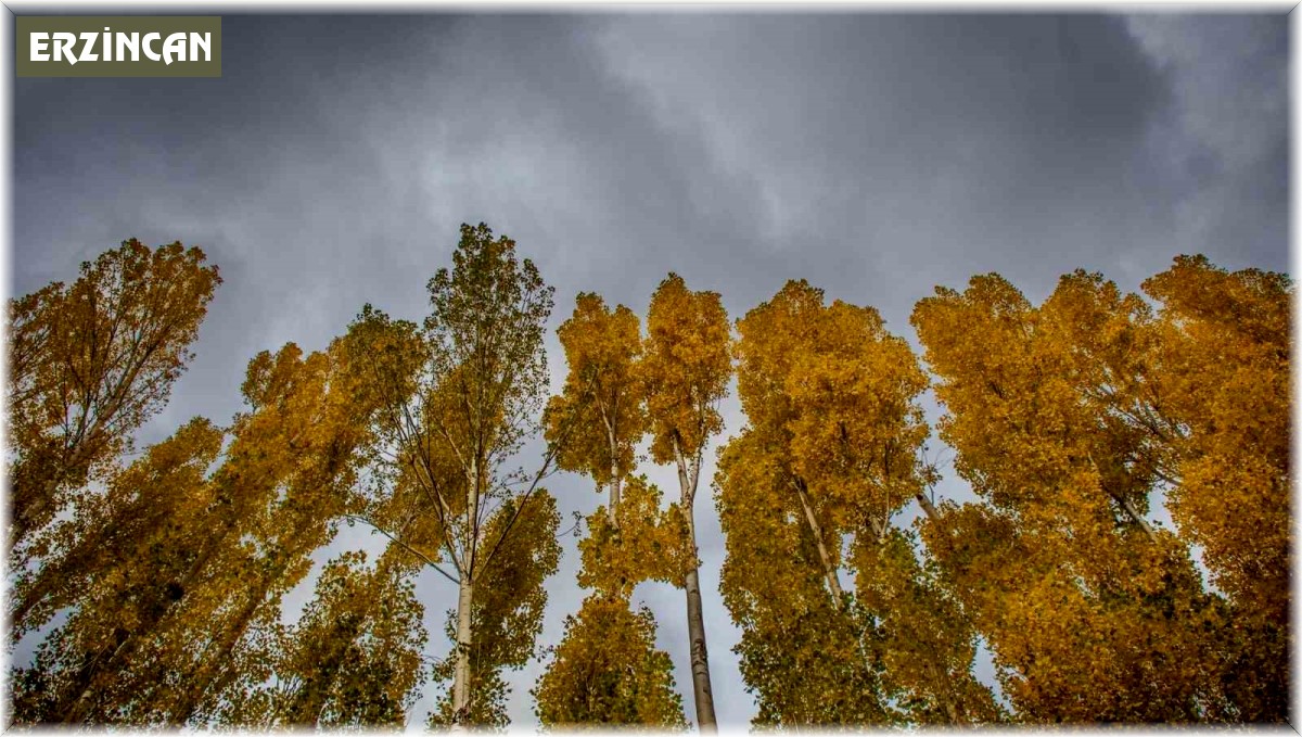 Erzincan'da hazan mevsimi güzelliği