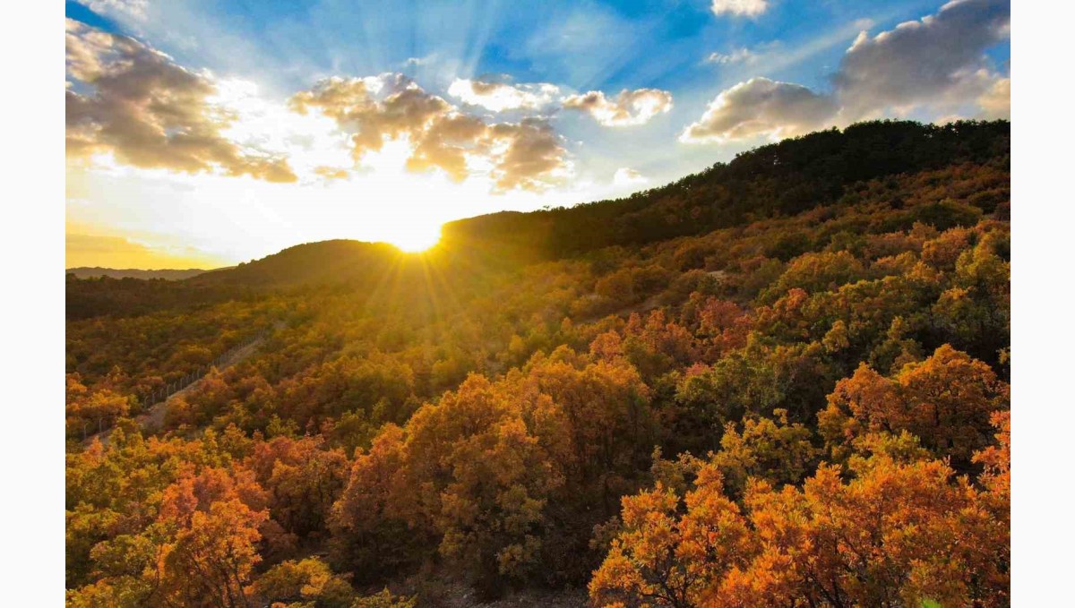 Erzincan'da hazan mevsimi güzelliği