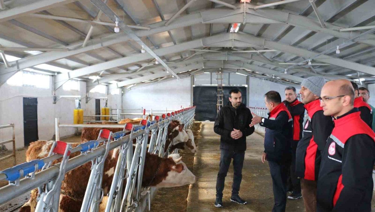 Erzincan'da hibe desteğiyle kurulan tesis üretime başladı