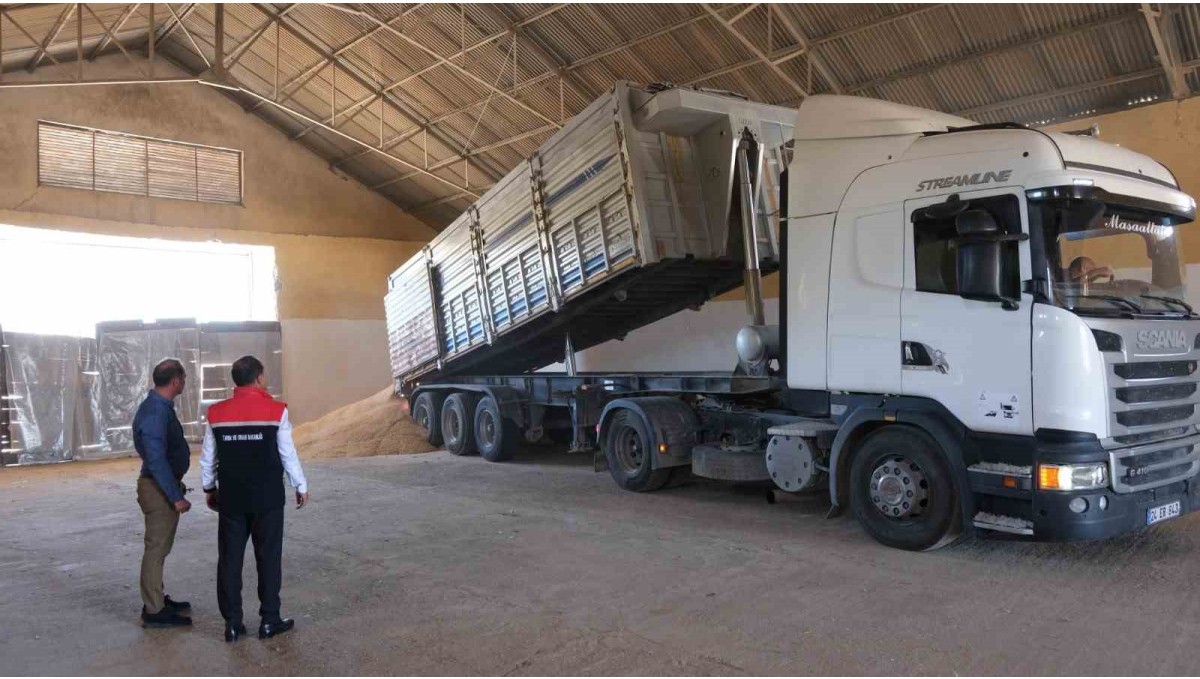 Erzincan'da hububatta ilk hasat başladı