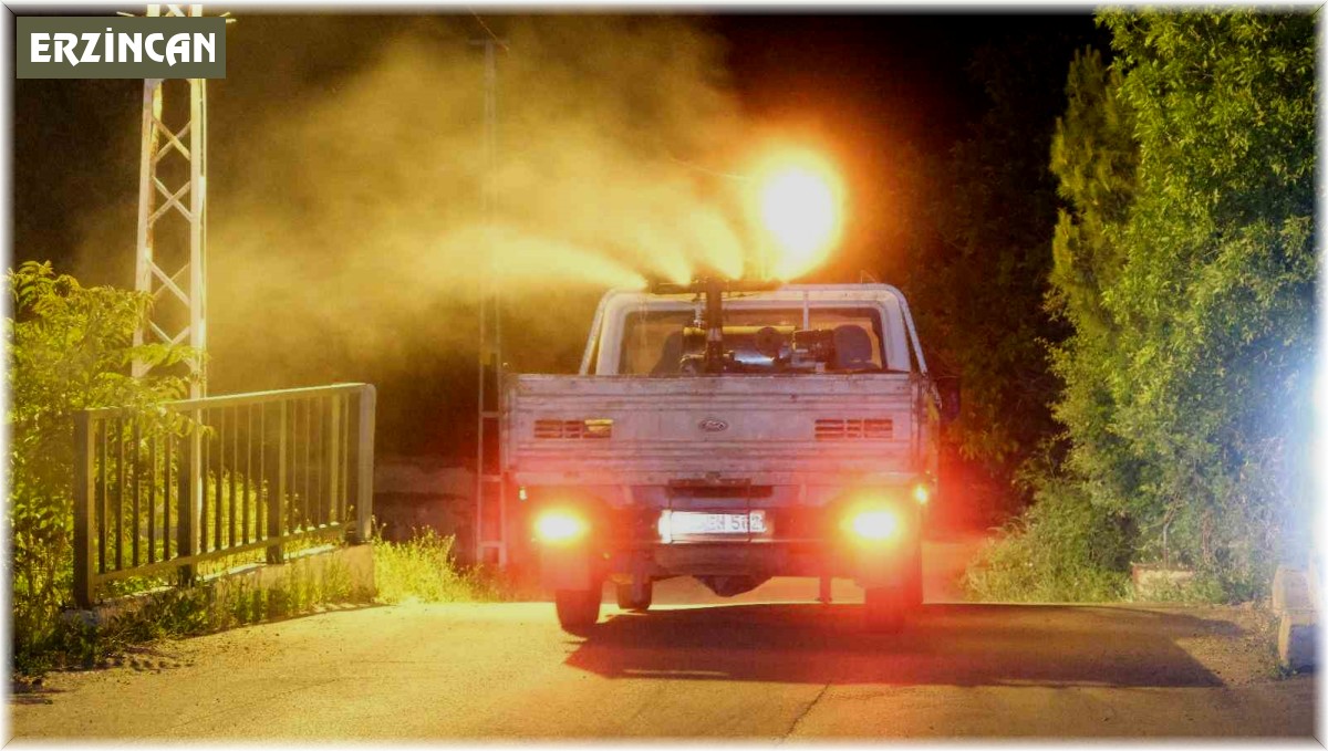 Erzincan'da ilaçlama çalışması yapıldı