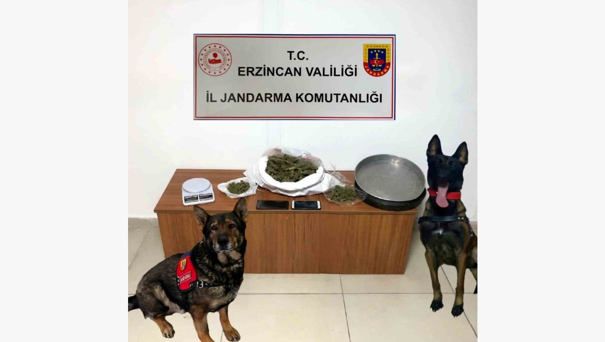 Erzincan'da jandarma ekipleri 2024 yılı Aralık ayında meydana gelen olayların yüzde 98'ini aydınlattı