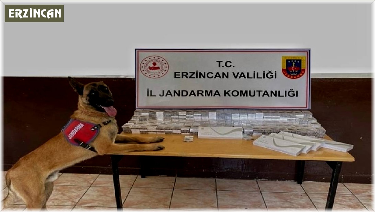 Erzincan'da jandarma ekipleri kaçakçılık olaylarına geçit vermiyor