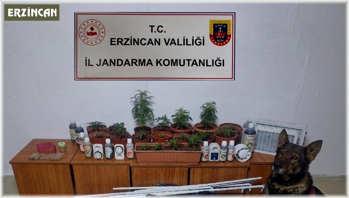 Erzincan'da jandarma ekipleri suç ve suçluya geçit vermiyor