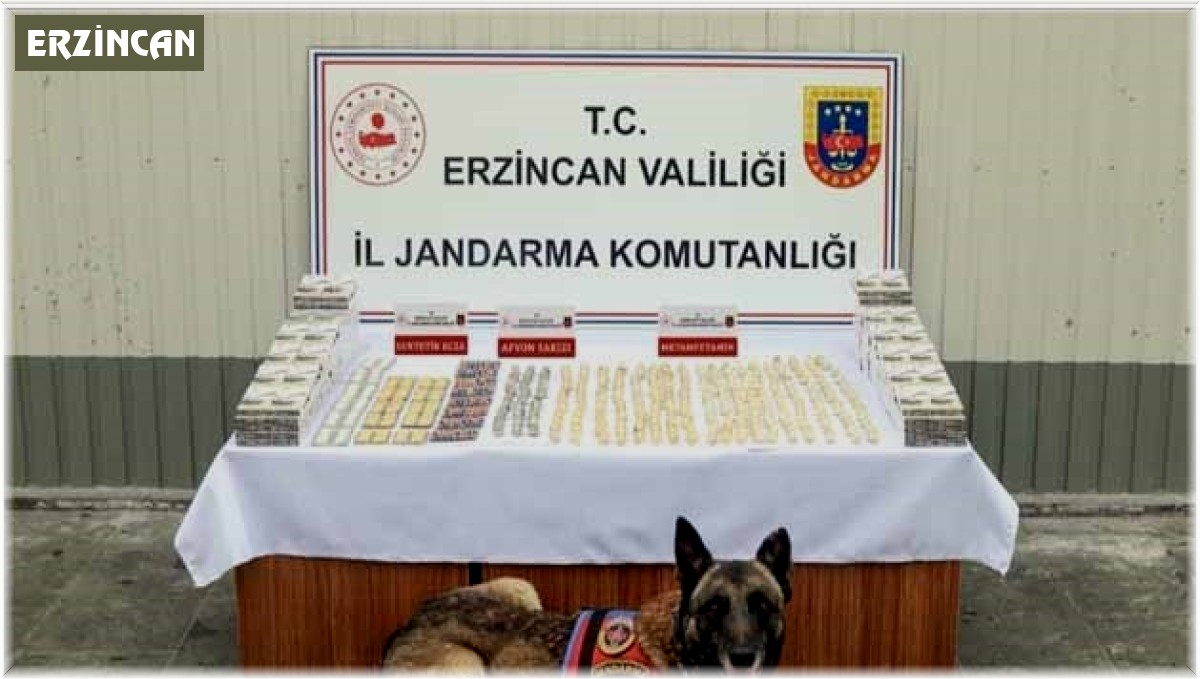 Erzincan'da jandarma ekiplerince 11 faili meçhul olayın 10'u aydınlatıldı
