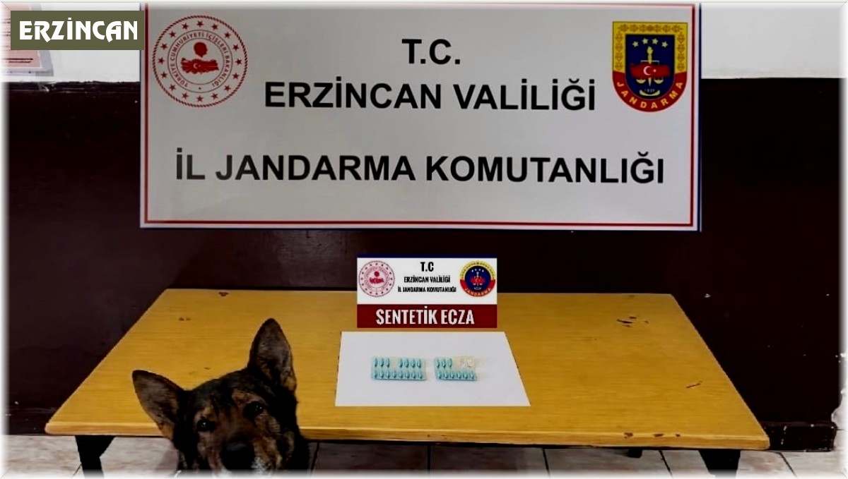 Erzincan'da jandarma mıntıkasında Ağustos ayında meydana gelen olayların yüzde 98'i aydınlatıldı