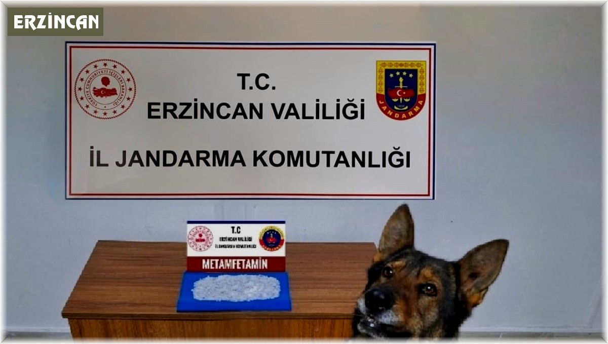 Erzincan'da jandarmadan uyuşturucu operasyonu: 1 tutuklama
