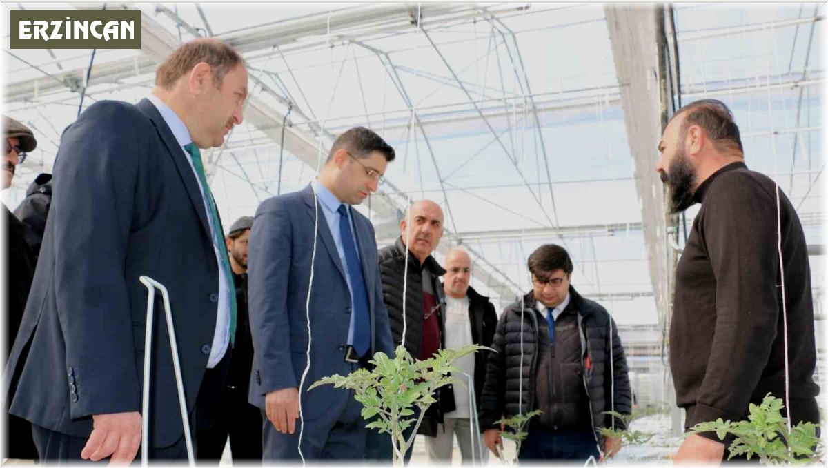 Erzincan'da jeotermal ısıtmalı topraksız serada ilk fideler dikildi