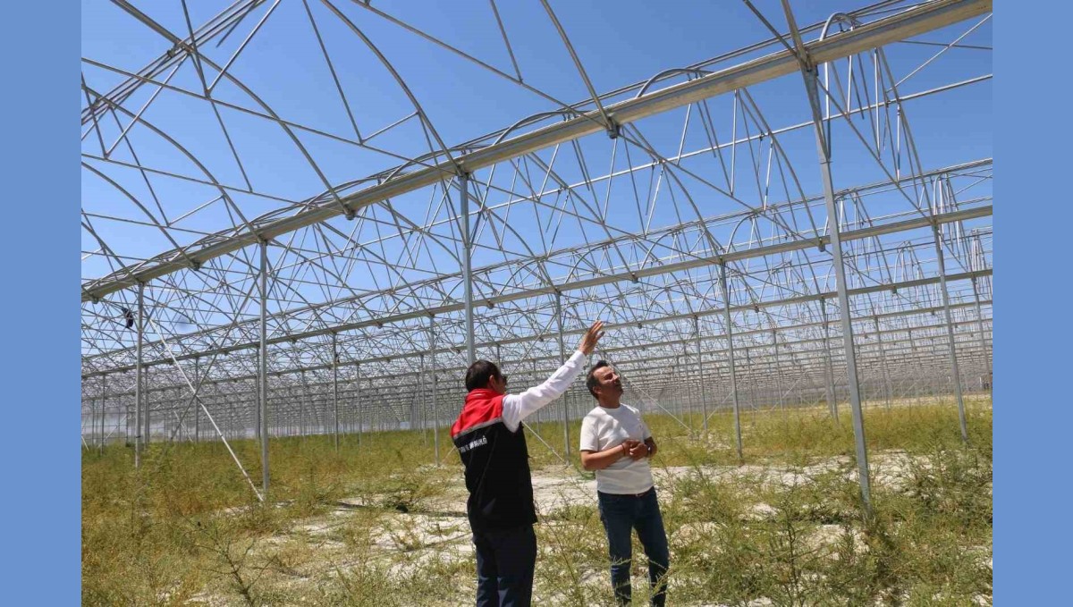 Erzincan'da jeotermal sera yatırımları devam ediyor