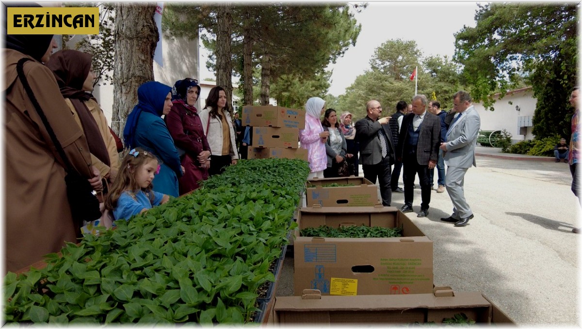 Erzincan'da kadın çiftçilere fide desteği