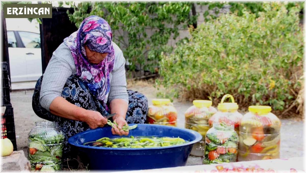 Erzincan'da kadınların turşu mesaisi