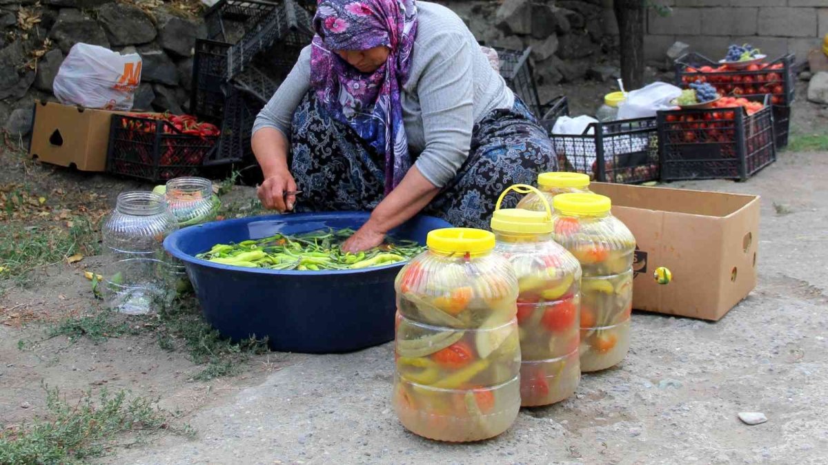 Erzincan'da kadınların turşu mesaisi başladı