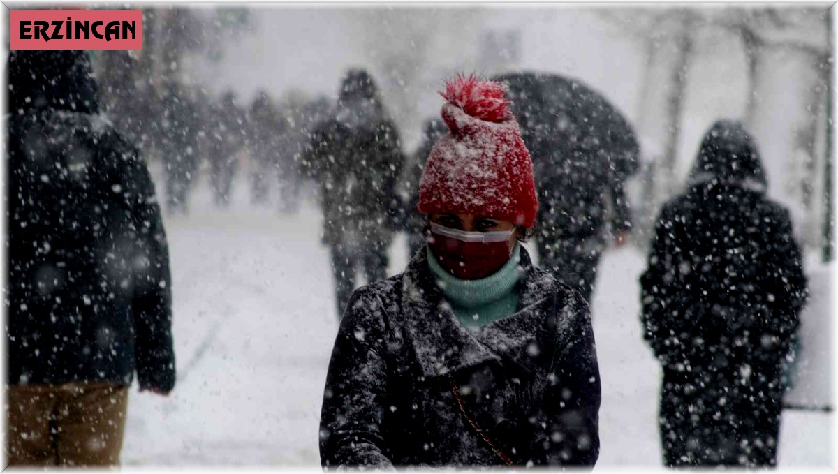 Erzincan'da kar yağışı