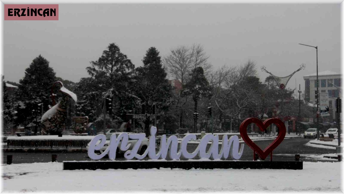 Erzincan'da kar yağışı etkili oluyor