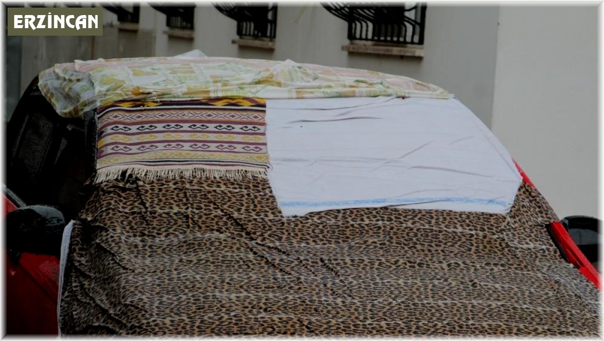 Erzincan'da kırağı ve buzlanmaya karşı battaniye önlemi