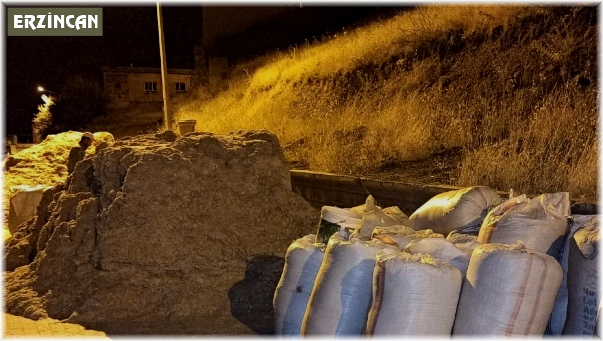 Erzincan'da kışlık saman hazırlıkları sürüyor
