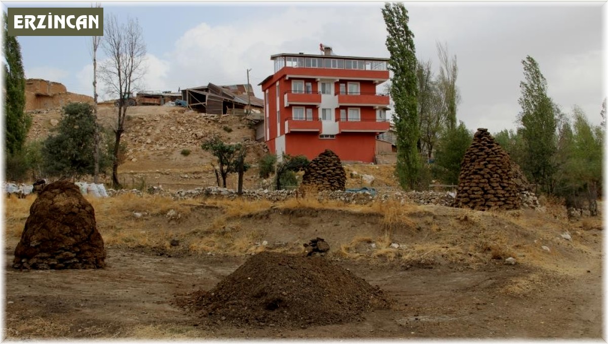 Erzincan'da kışlık tezek hazırlığı