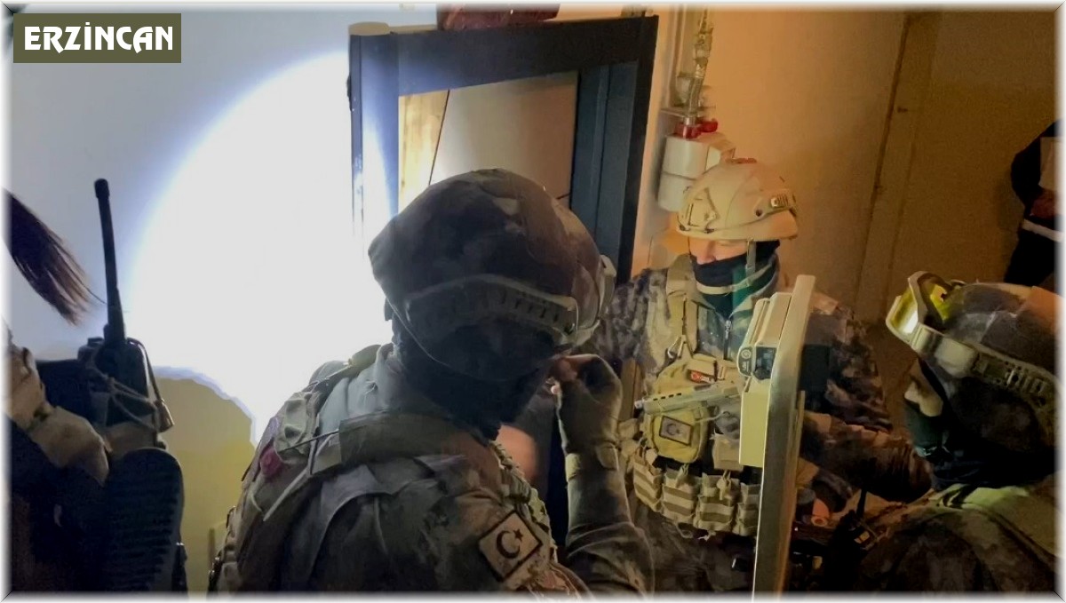 Erzincan'da Koç organize suç örgütüne operasyon