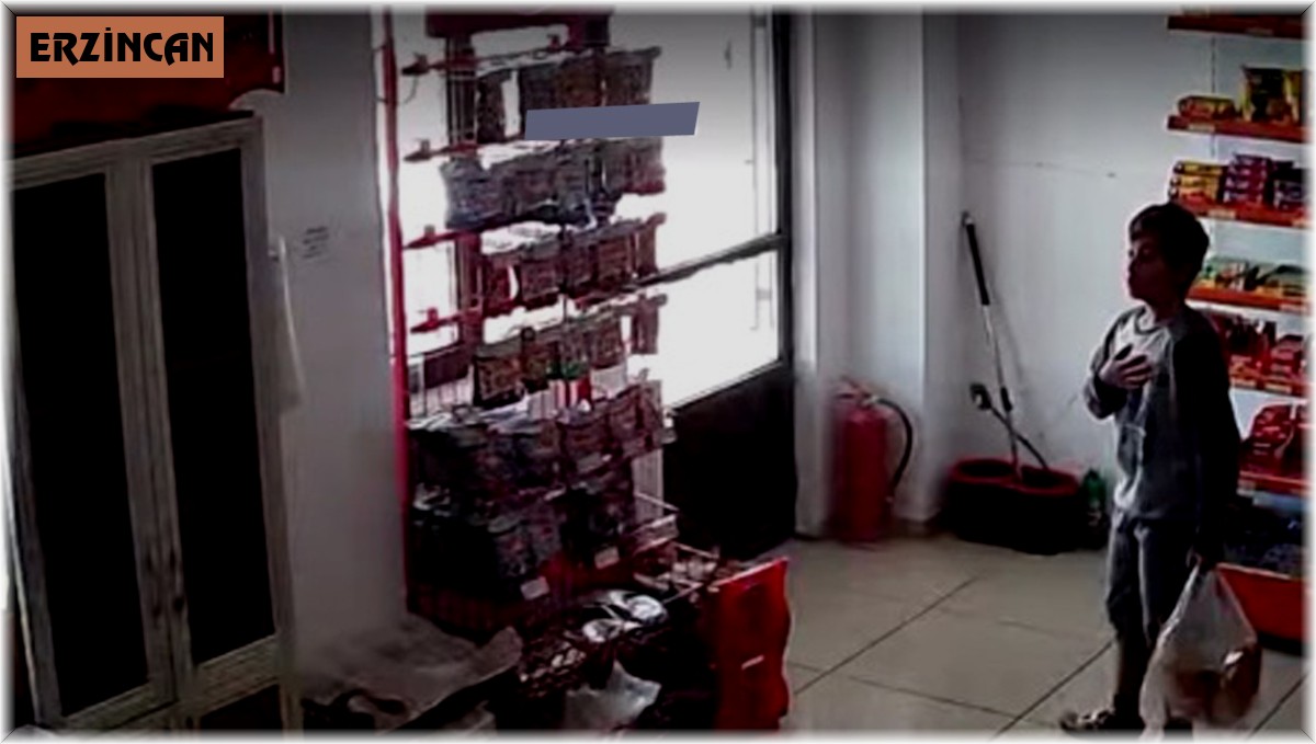 Erzincan'da köpek saldırısından son anda kaçan çocuğun korku dolu anları güvenlik kamerasına yansıdı