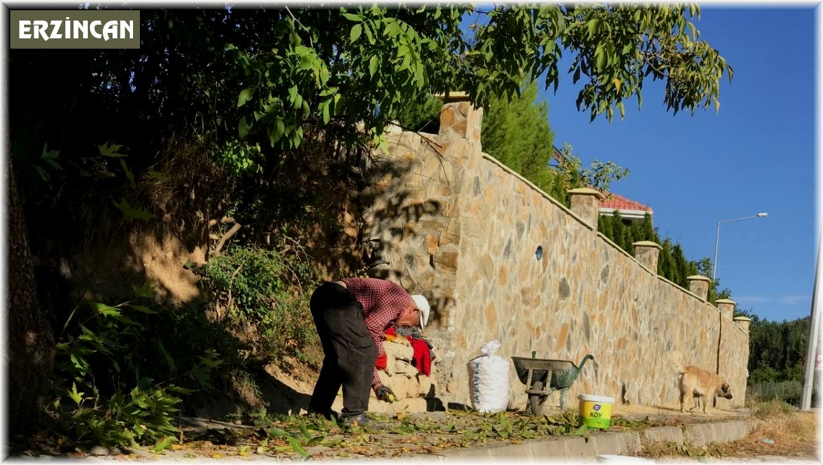 Erzincan'da köylülerin zorlu ceviz hasadı başladı