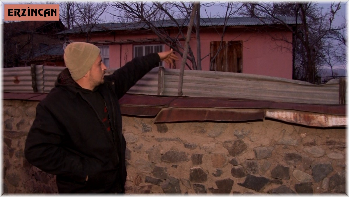 Erzincan'da köyün içine giren ayı görüntülendi