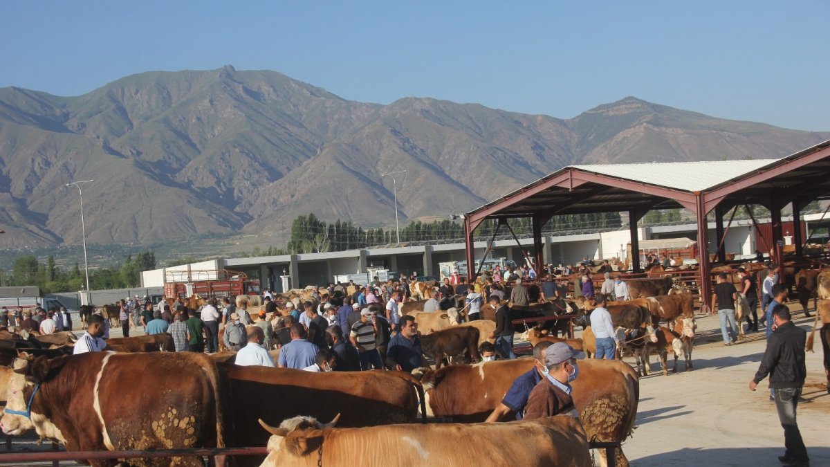 Erzincan'da kurban hareketliliği başladı