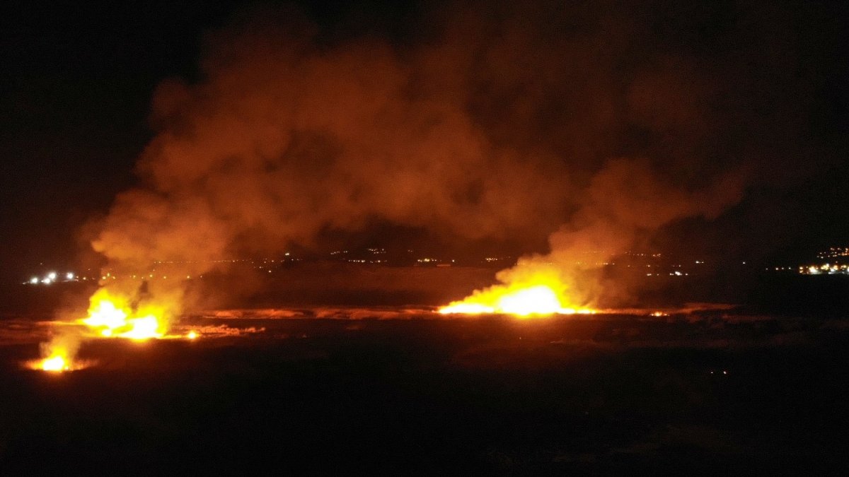 Erzincan'da kuş cennetinde yangın