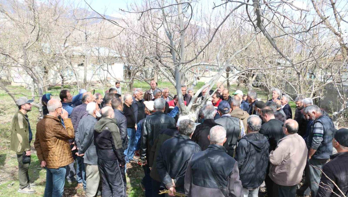 Erzincan'da meyve ağaçlarında budama eğitimi düzenlenecek