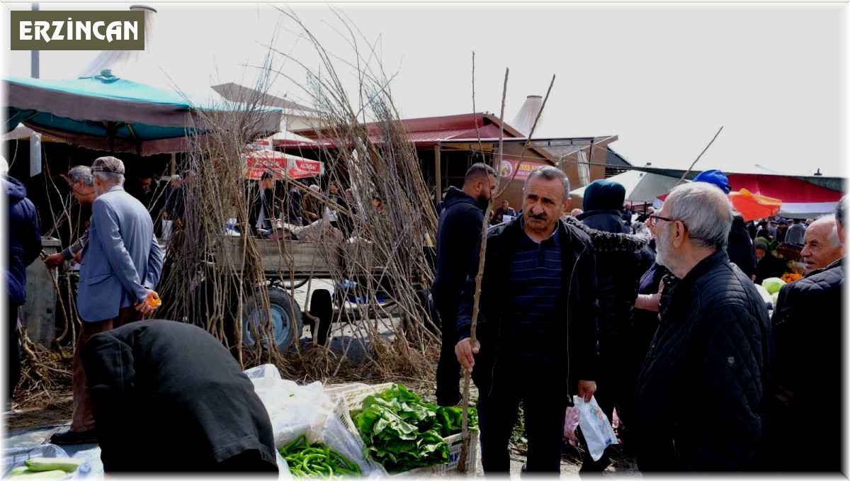 Erzincan'da meyve fidanı satışı başladı