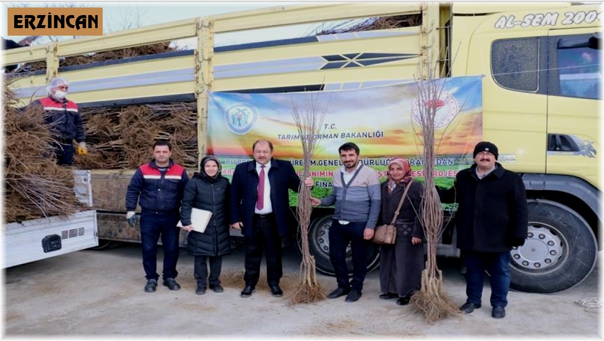 Erzincan'da meyvecilik sektörüne yatırımlar sürüyor