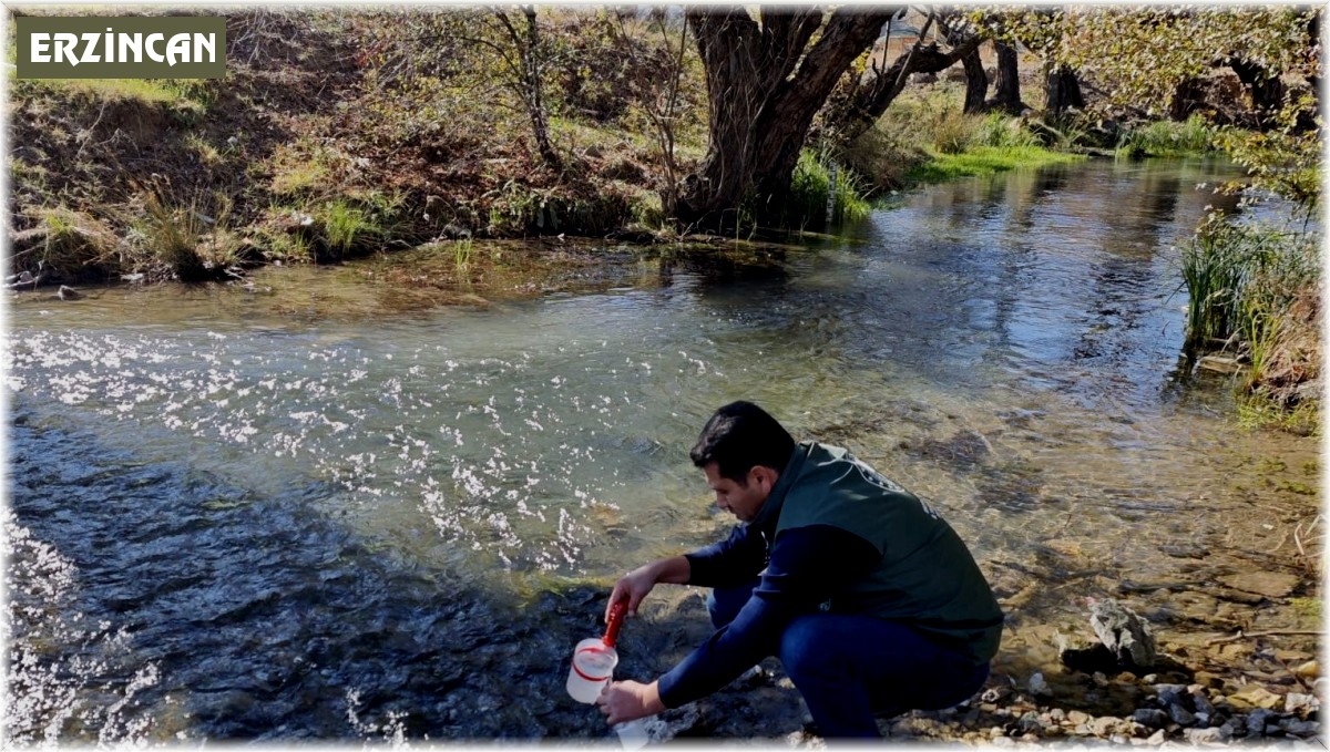 Erzincan'da nitrat kirliliği izleniyor