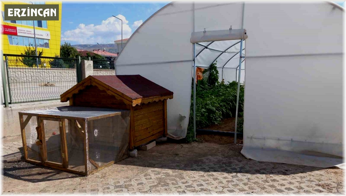 Erzincan'da okuldaki çiftlik büyümeye devam ediyor