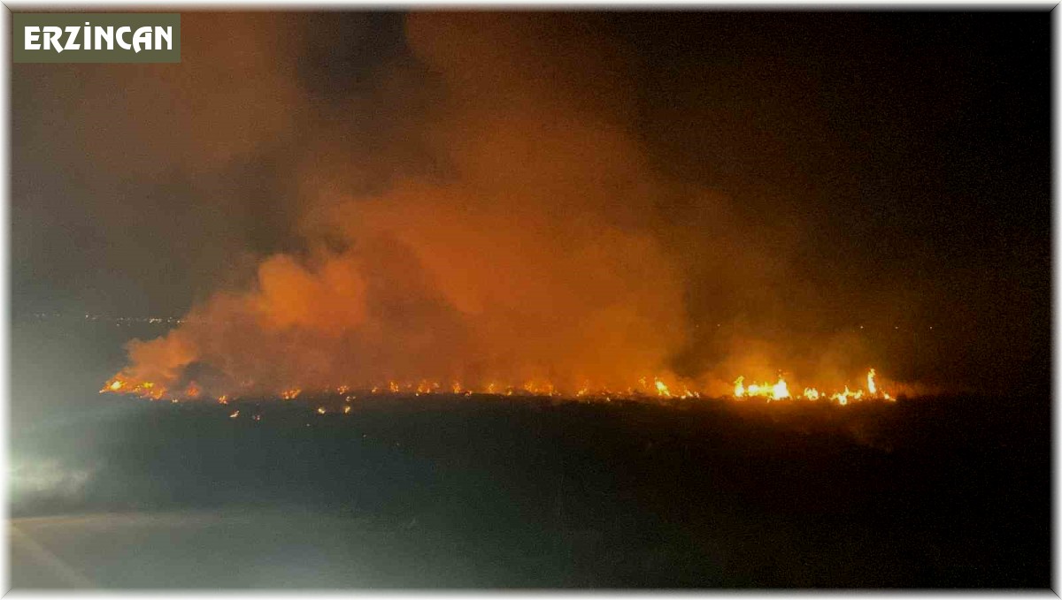 Erzincan'da örtü yangını itfaiyenin müdahalesiyle söndürüldü