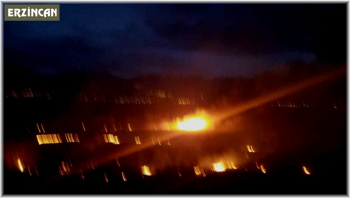 Erzincan'da örtü yangını korkuttu