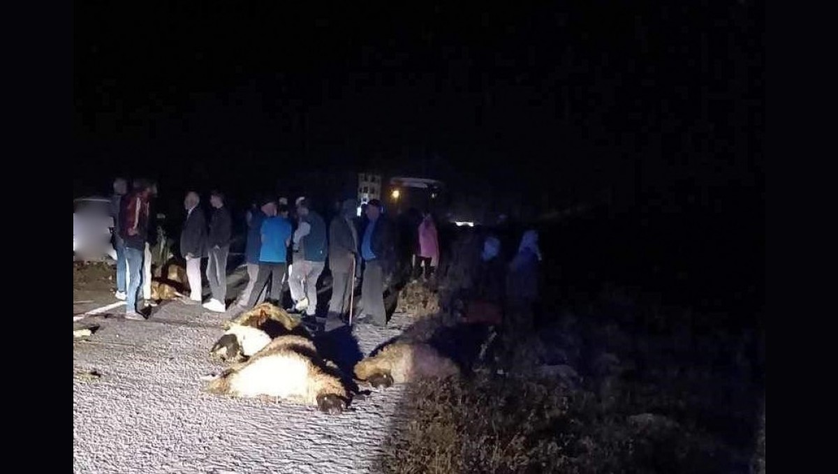 Erzincan'da otomobil koyun sürüsüne daldı