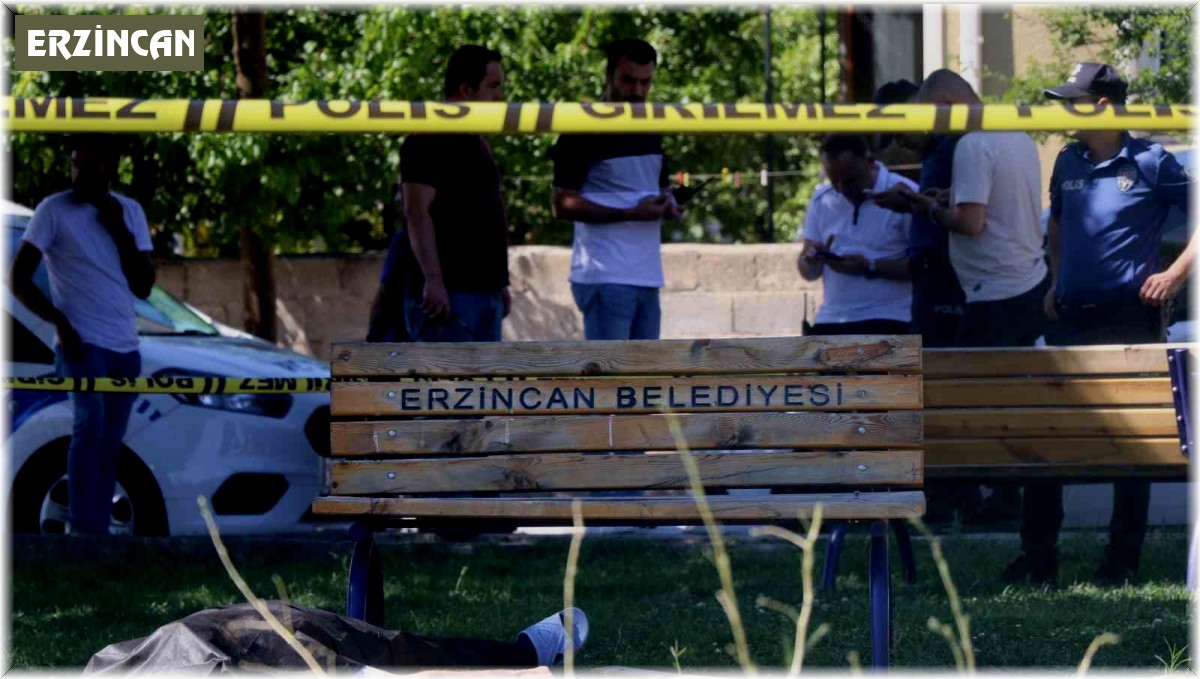 Erzincan'da parkta şüpheli ölüm