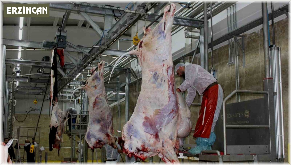 Erzincan'da resmi veteriner hekimlik eğitimi veriliyor