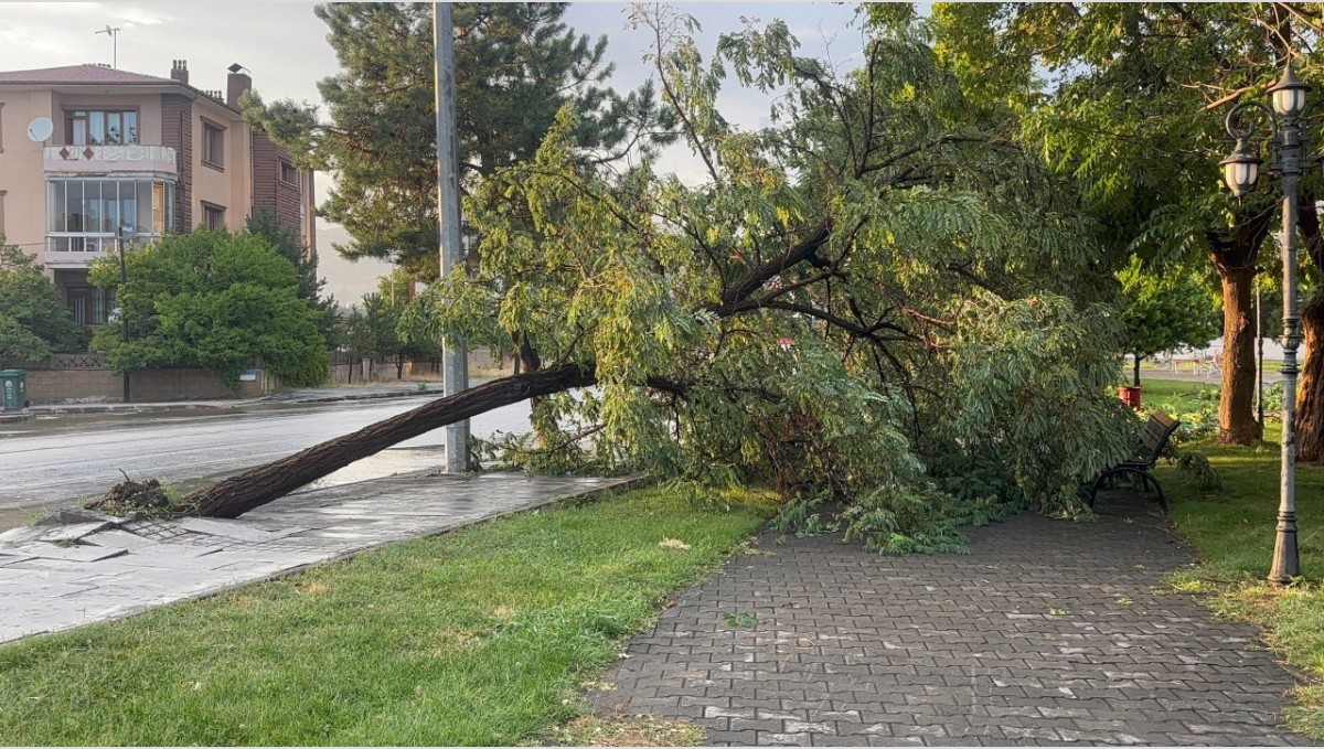 Erzincan'da sağanak ve fırtına hayatı felç etti