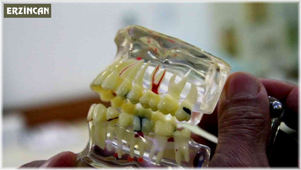 Erzincan'da sahte diş doktoru vatandaşları dolandırdı