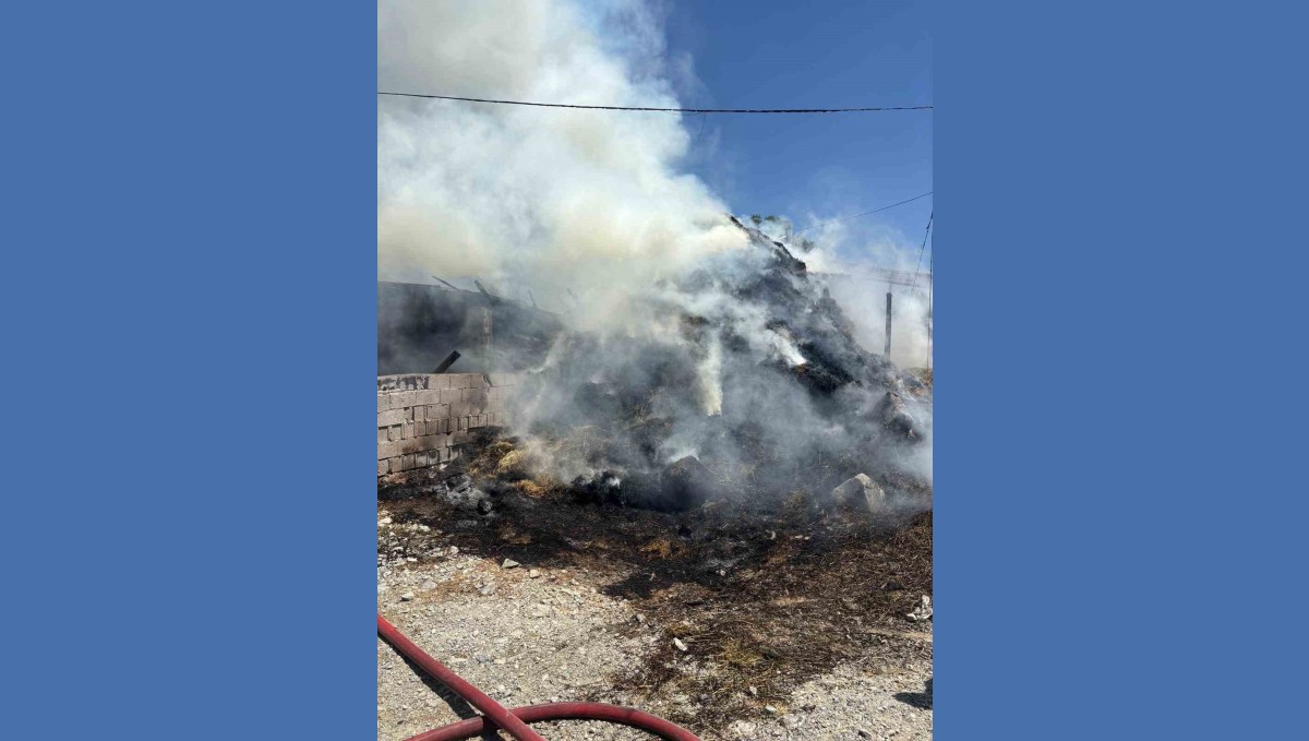 Erzincan'da samanlık ve ahır yandı
