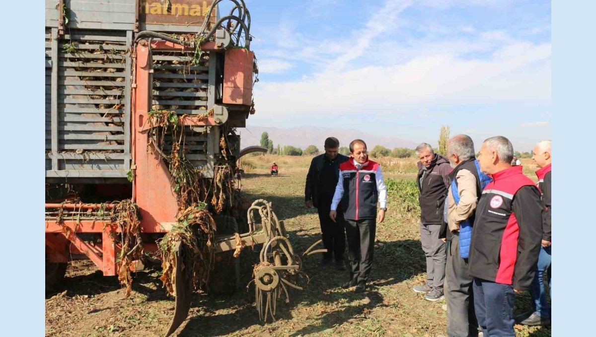 Erzincan'da şeker pancarı üretimi yılda yaklaşık 1 milyar TL boyutunda ekonomik döngü ortaya koyuyor