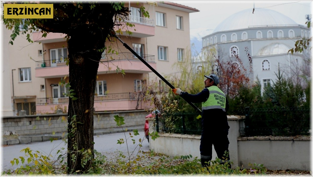 Erzincan'da sıcak asfalt, temizlik ve peyzaj çalışmaları devam ediyor