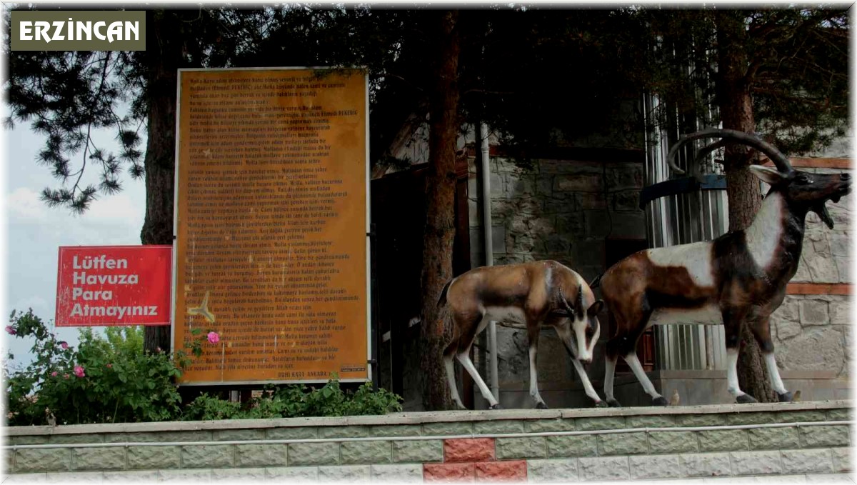Erzincan'da şifalı su
