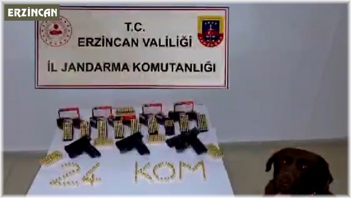 Erzincan'da silah kaçakçısı 1 kişi yakalandı