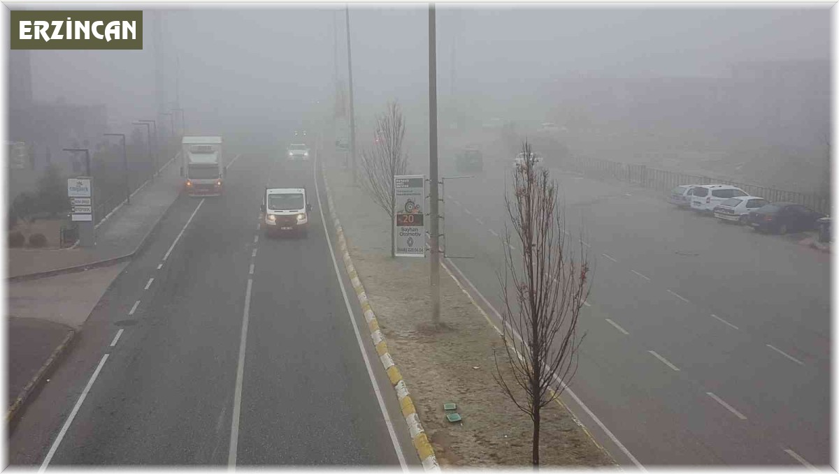 Erzincan'da sis ve soğuk hava etkili oldu
