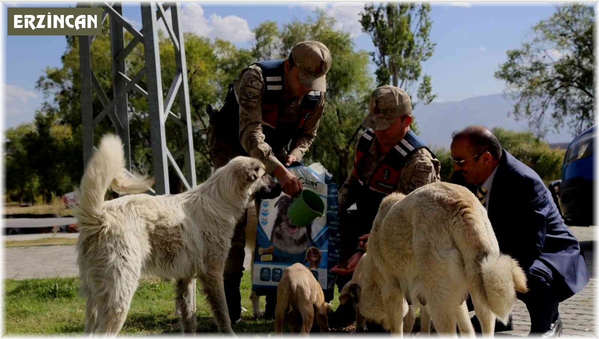 Erzincan'da sokak hayvanlarına yönelik yemleme çalışması yapıldı